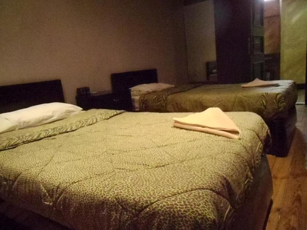 Freedom Hostel Kair Zewnętrze zdjęcie